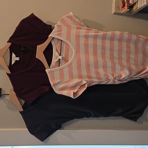 Set of 3: Alma Short Sleeve Maternity Knit Top